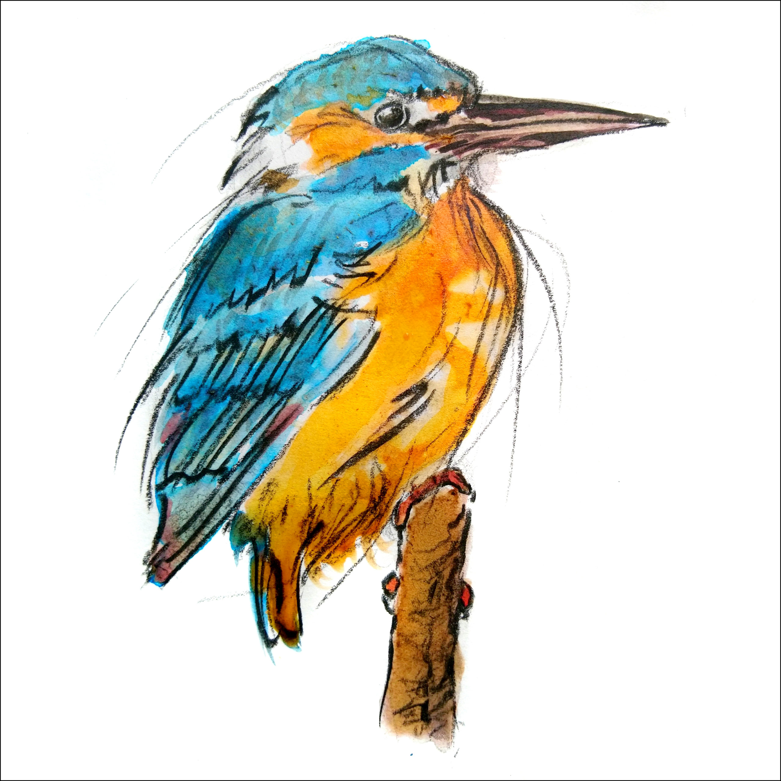 Featured image for “"Kingfisher" greetings card”
