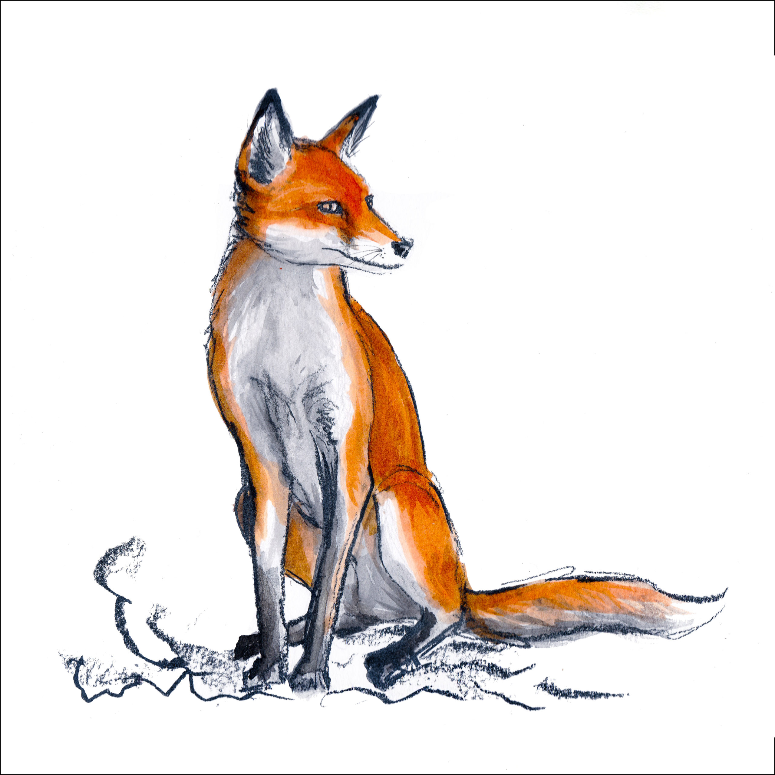 Featured image for “"Young fox" greetings card”