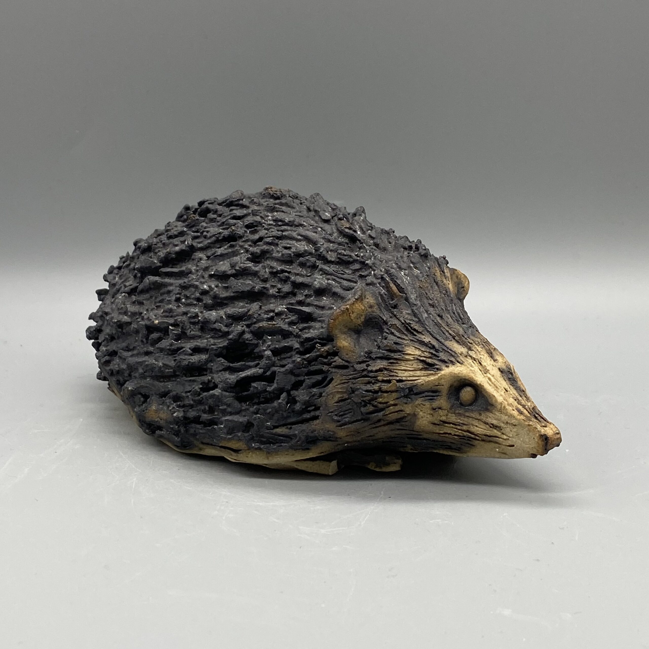 Featured image for “Hedgehog”